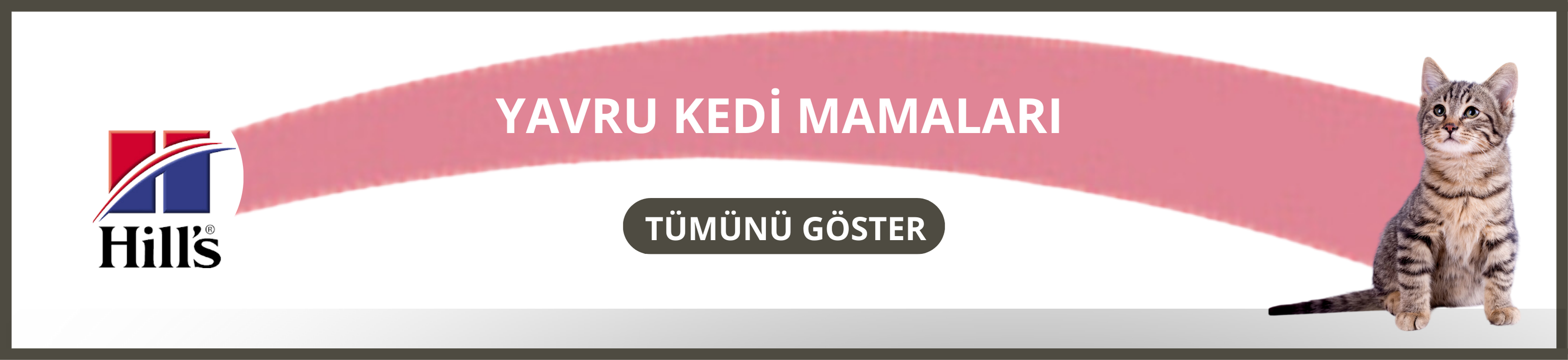 Yavru Kedi Mamaları