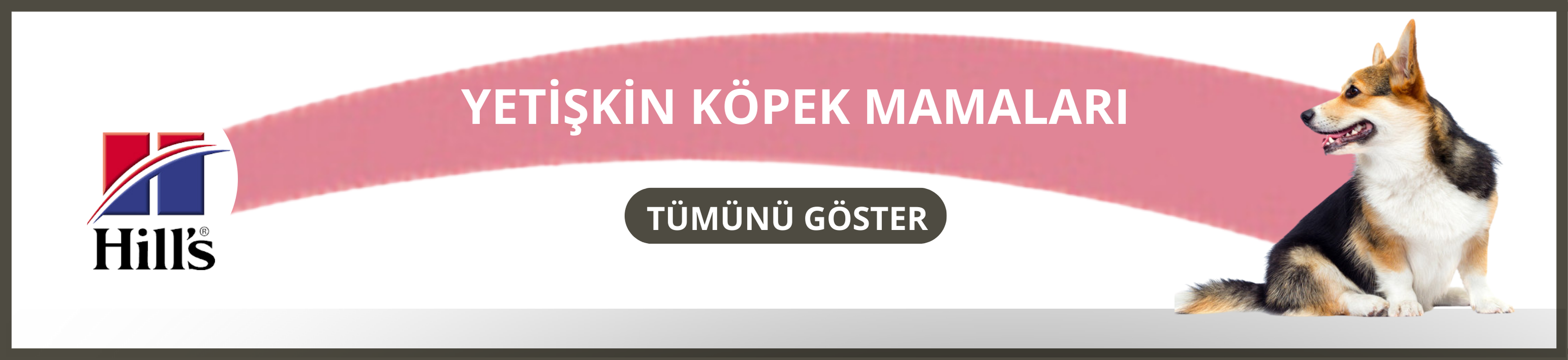 Yetişkin KöpekMamaları