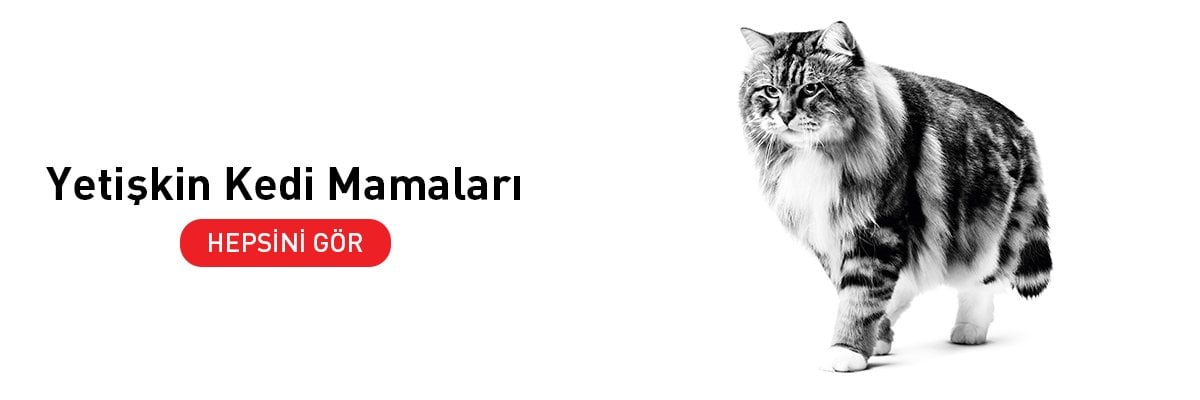 Yetişkin Kedi Mamaları