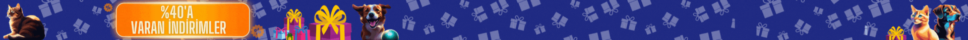web GIF