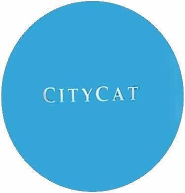 City Cat