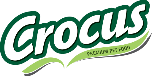 Crocus