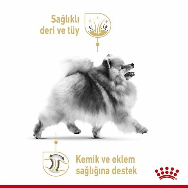 Royal Canin Yetişkin Köpek Pomeranian Yaş Maması 12x85gr