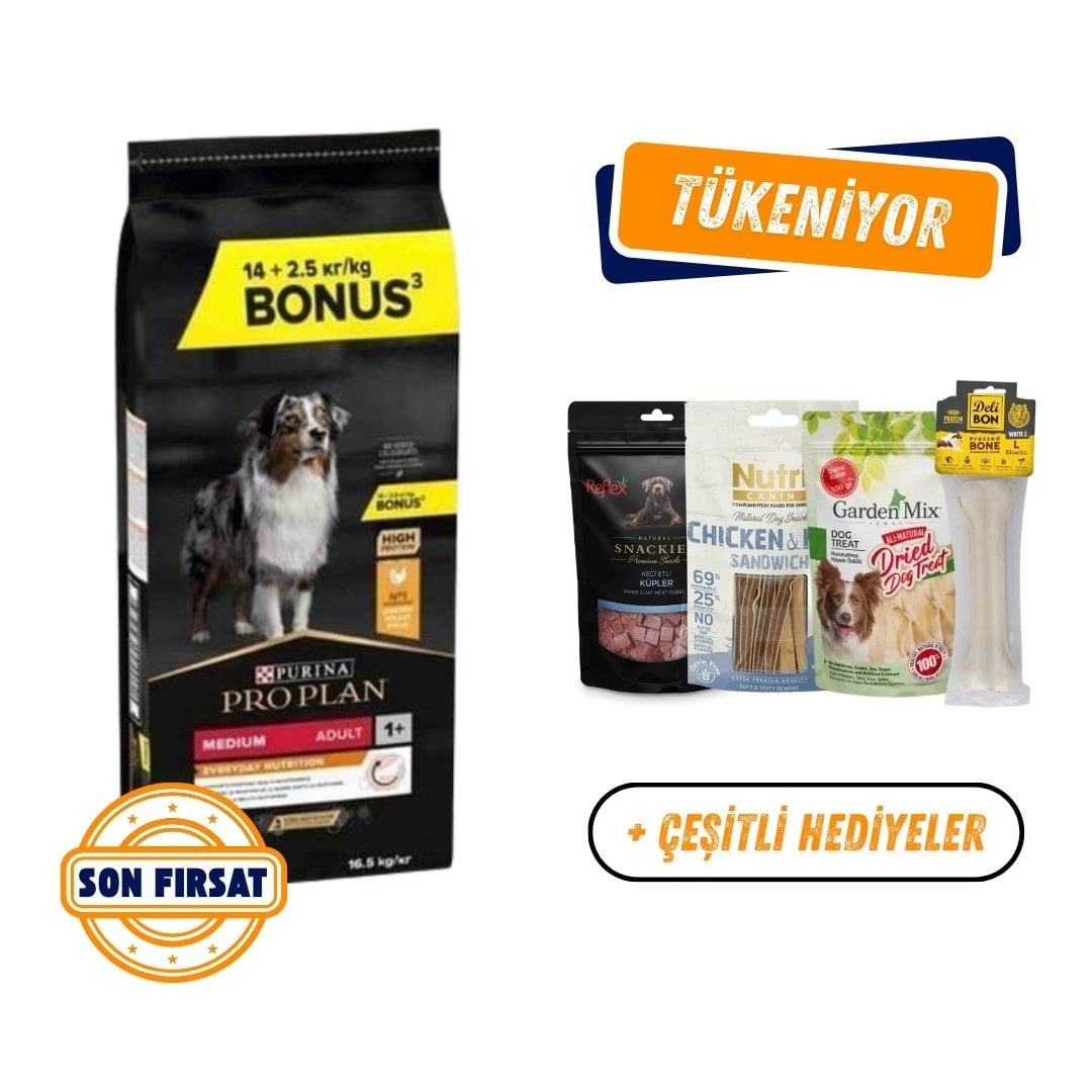 Proplan Medium Adult Tavuklu Yetişkin Köpek Maması 16,5 Kg