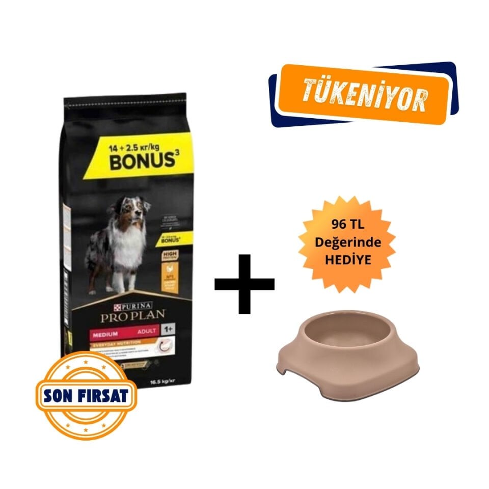 Proplan Medium Adult Tavuklu Yetişkin Köpek Maması 16,5 Kg