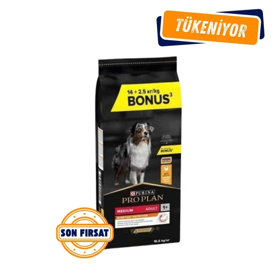 Proplan Medium Adult Tavuklu Yetişkin Köpek Maması 16,5 Kg