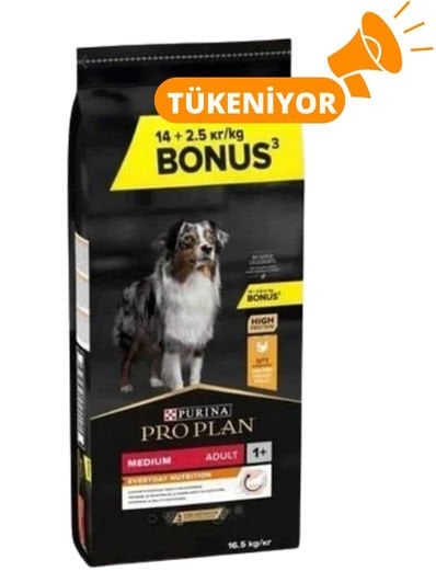 Proplan Medium Adult Tavuklu Yetişkin Köpek Maması 16,5 Kg