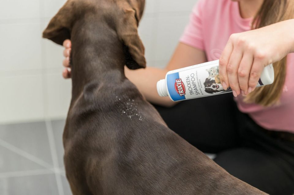 Trixie Kuru Şampuan 200Gr