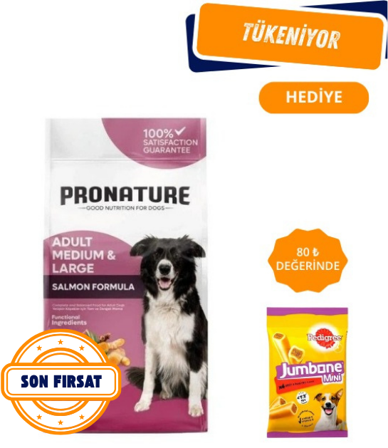 Pronature Derma Shine Somonlu ve Pirinçli Yetişkin Köpek Maması 12 Kg