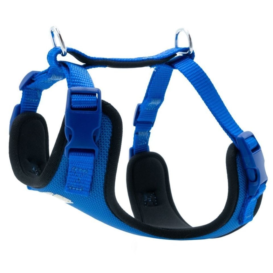 DOGGİE HAVALI DOKUMA GÖĞÜS TASMASI ROYALMAVİ 1,5X40-50CM