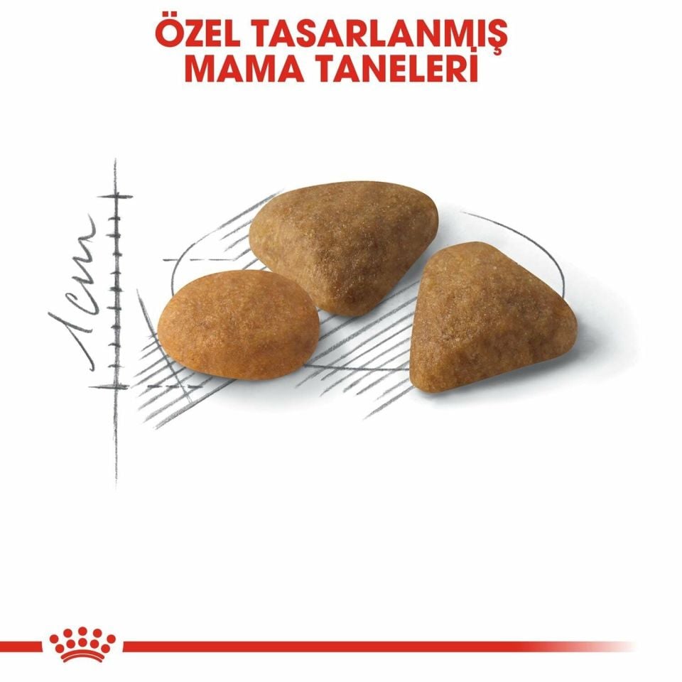 Royal Canin Savour Exigent 35/30 Seçici Kedilere Özel Kedi Maması 10 Kg