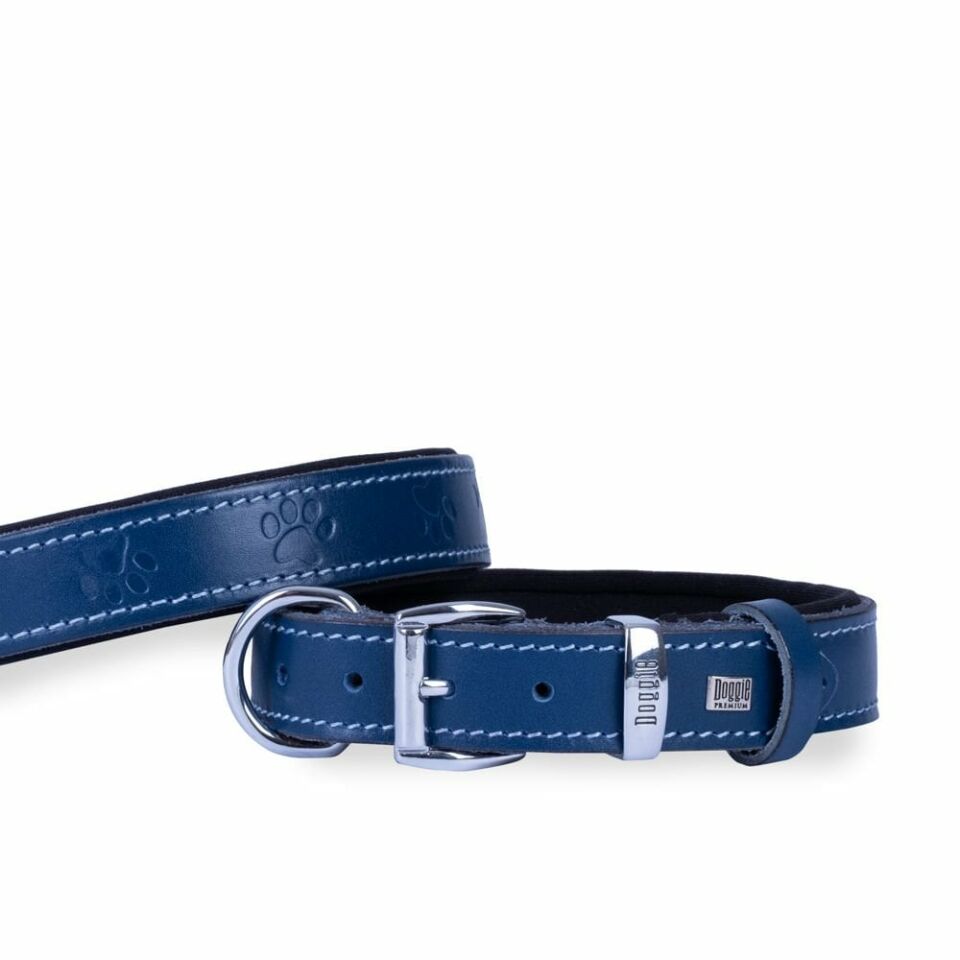 DOGGİE KONFOR DERİ PATİ DESENLİ BOYUN TASMASI ROYALMAVİ 3X42-50CM
