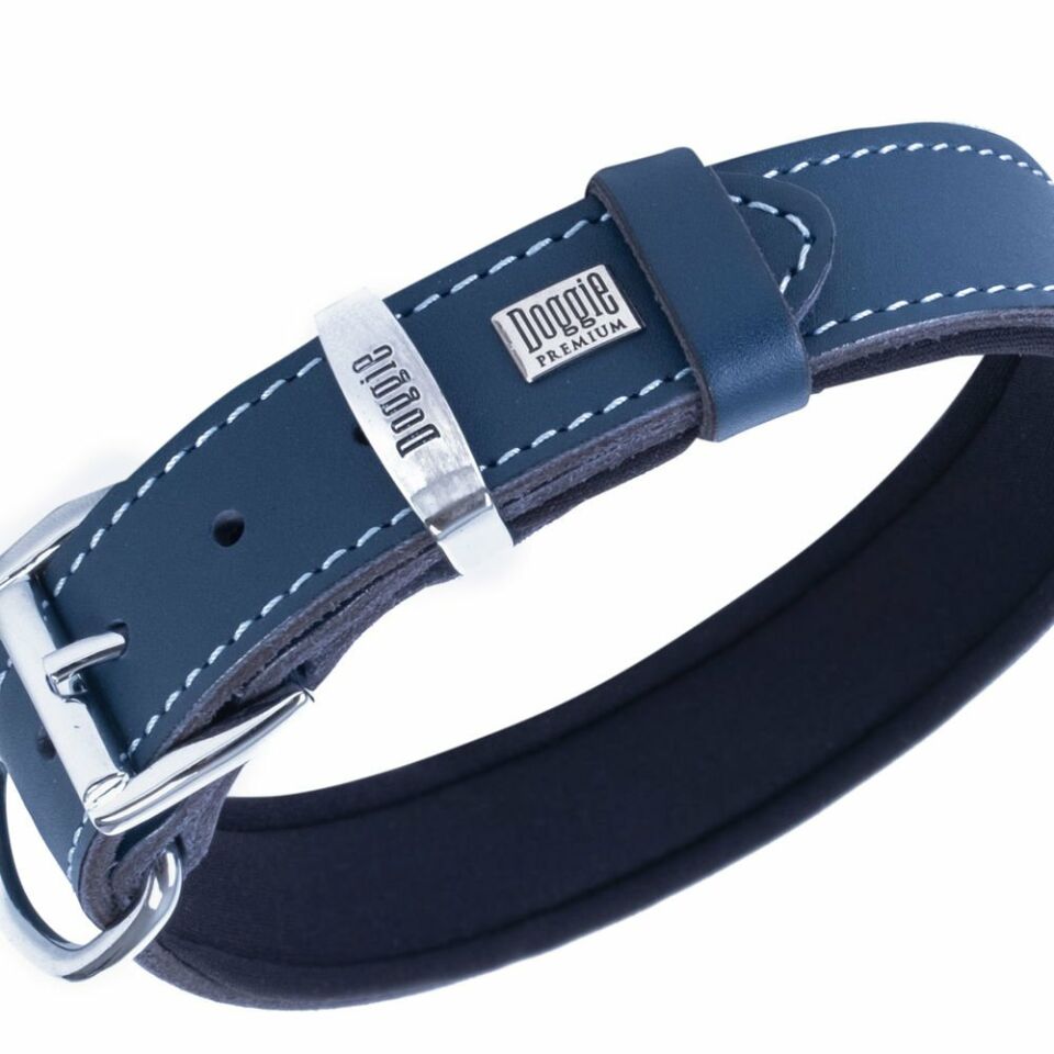 DOGGİE KONFOR DERİ PATİ DESENLİ BOYUN TASMASI ROYALMAVİ 3X42-50CM