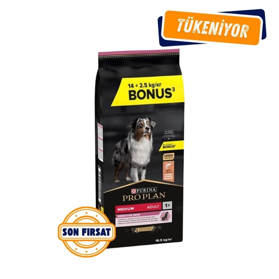 Pro Plan Medium Sensitive Skin Somonlu Orta Irk Yetişkin Köpek Maması 16,5 Kg