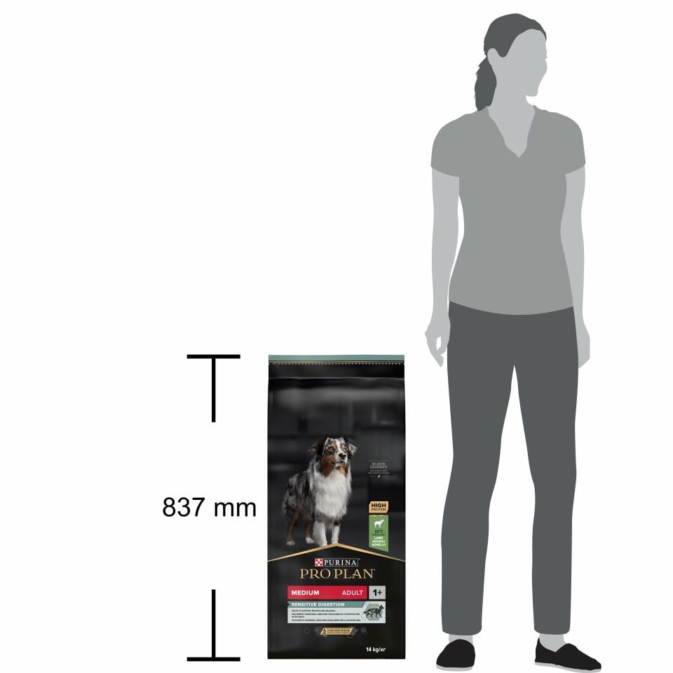 Pro Plan Medium Kuzu Etli ve Pirinçli Orta Irk Yetişkin Köpek Maması 14 Kg