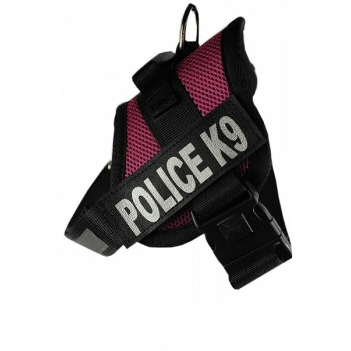 Pet Style K-9 Özel Köpek Bel Tasması No: 2