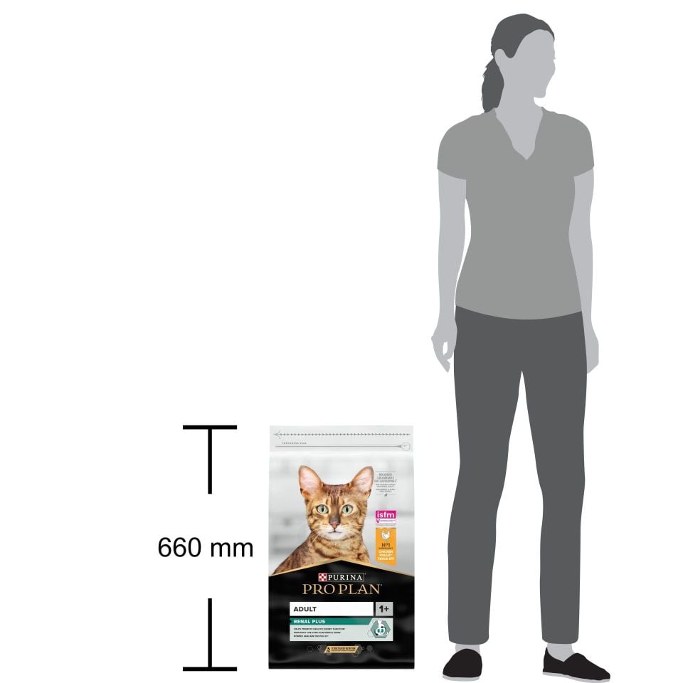 Pro Plan Renal Plus Adult Tavuklu Yetişkin Kedi Maması 10Kg
