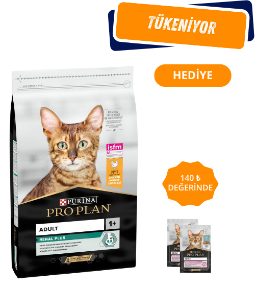 Pro Plan Renal Plus Adult Tavuklu Yetişkin Kedi Maması 10Kg