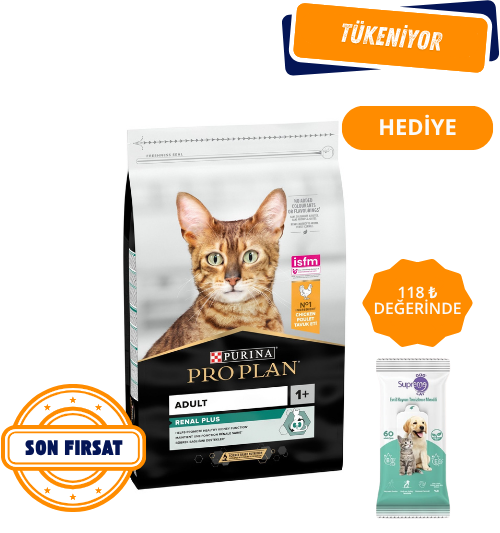 Pro Plan Renal Plus Adult Tavuklu Yetişkin Kedi Maması 10Kg
