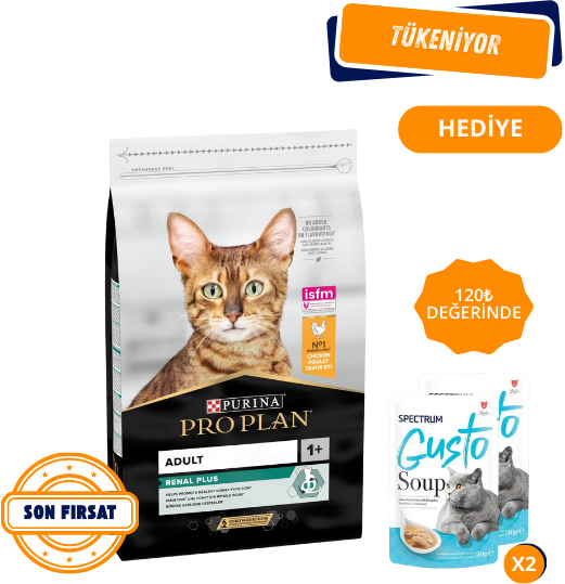Pro Plan Renal Plus Adult Tavuklu Yetişkin Kedi Maması 10Kg