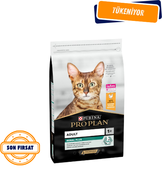Pro Plan Renal Plus Adult Tavuklu Yetişkin Kedi Maması 10Kg
