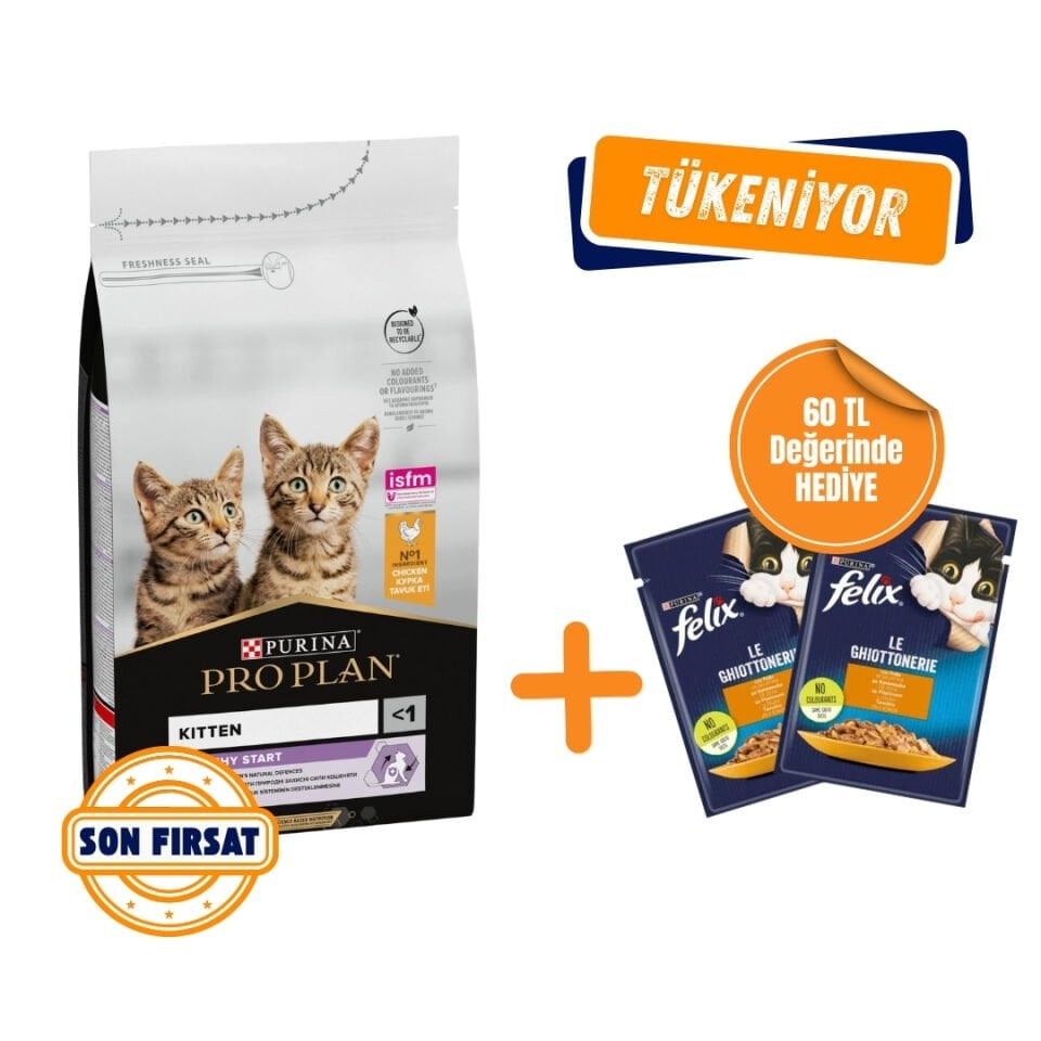 Pro Plan Kitten Tavuklu Yavru Kedi Maması 10 Kg