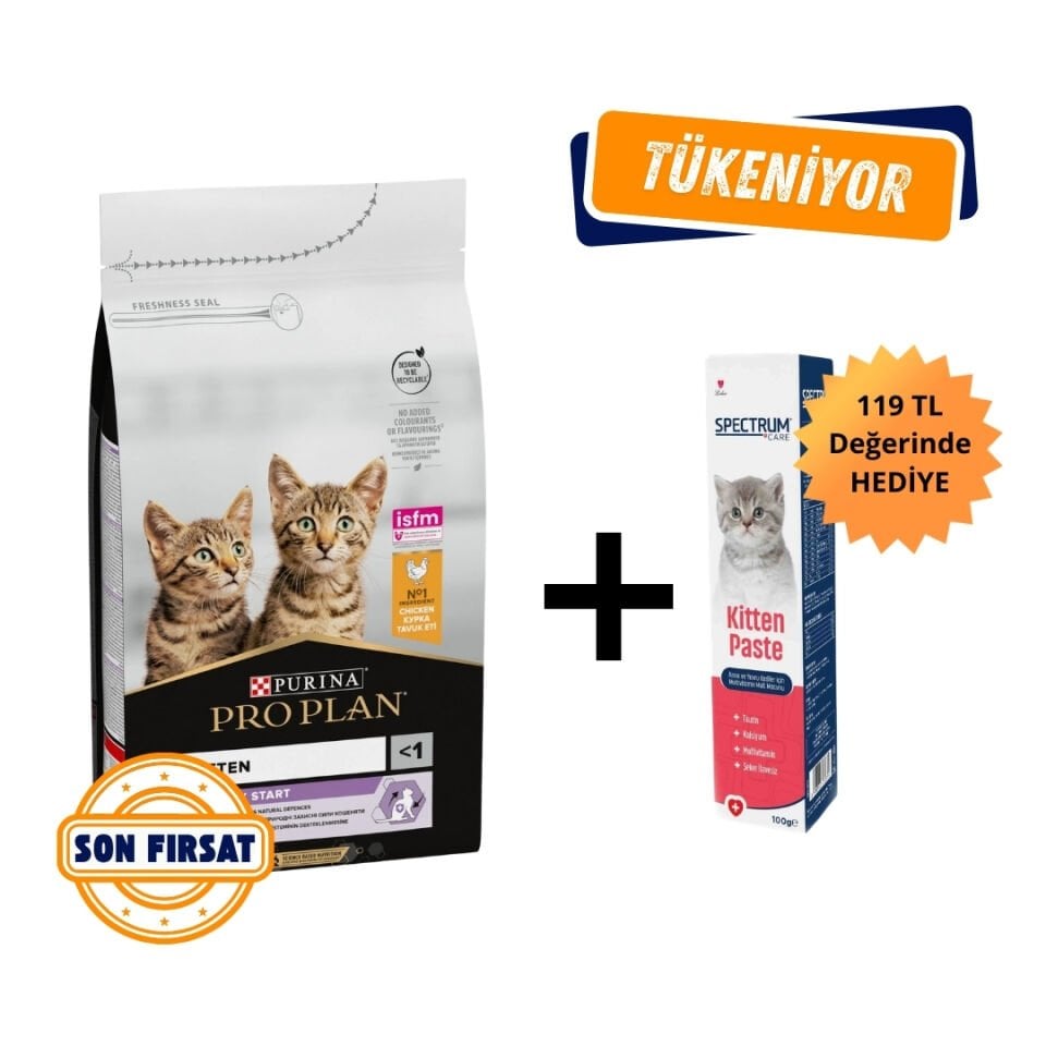 Pro Plan Kitten Tavuklu Yavru Kedi Maması 10 Kg