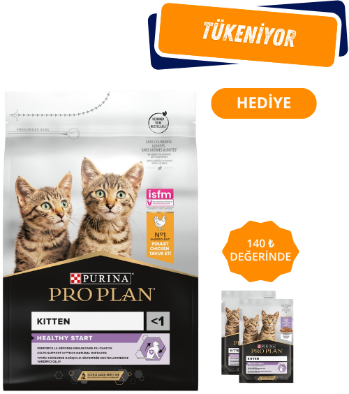 Pro Plan Kitten Tavuklu Yavru Kedi Maması 10 Kg