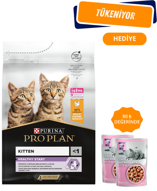 Pro Plan Kitten Tavuklu Yavru Kedi Maması 10 Kg