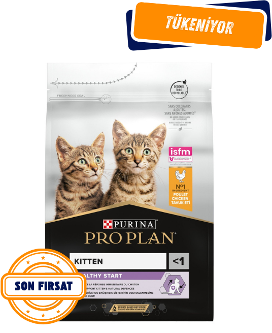 Pro Plan Kitten Tavuklu Yavru Kedi Maması 10 Kg
