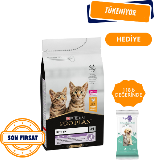 Pro Plan Kitten Tavuklu Yavru Kedi Maması 10 Kg