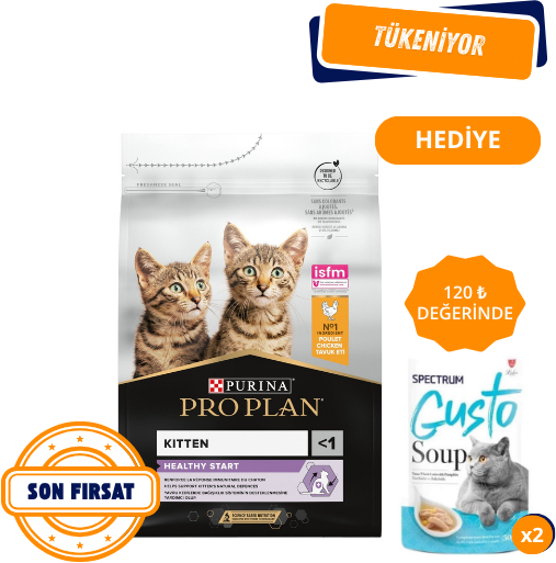 Pro Plan Kitten Tavuklu Yavru Kedi Maması 10 Kg