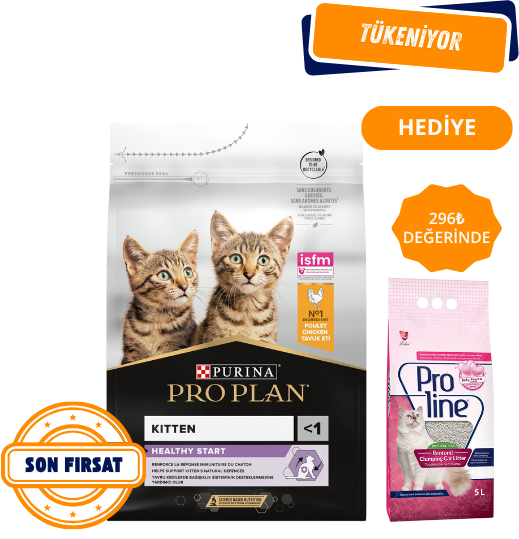 Pro Plan Kitten Tavuklu Yavru Kedi Maması 10 Kg