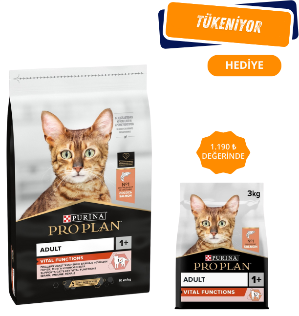 Pro Plan Adult Somonlu Yetişkin Kedi Maması 10Kg