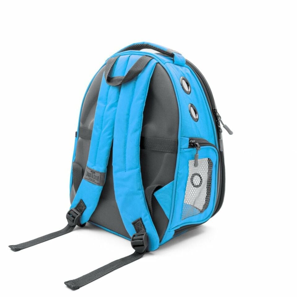 Doggie&Cattie Yeni Şeffaf Taşıma Sırt Çantası mavi