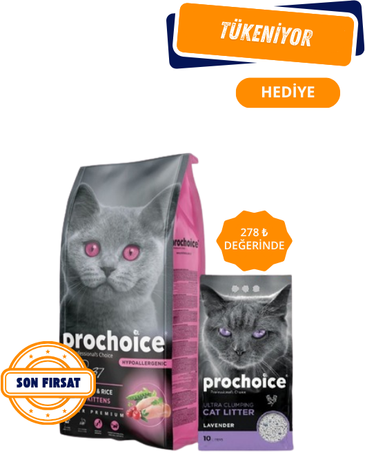 Prochoice 37 Tavuklu ve Pirinçli Yavru Kedi Maması 15 Kg