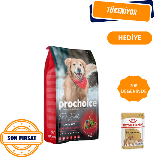 Prochoice Fit & Healthy Kuzu Etli ve Pirinçli Yetişkin Köpek Maması 3 Kg
