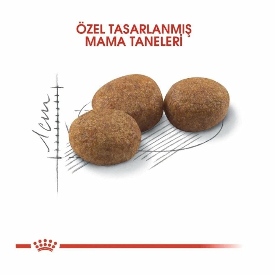 Royal Canin Sterilised 37 Kısırlaştırılmış Yetişkin Kedi Maması 4 Kg