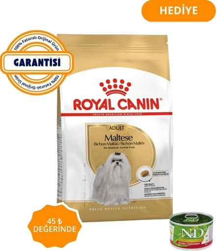 Royal Canin Maltese Terrier Yetişkin Köpek Maması 1,5 Kg