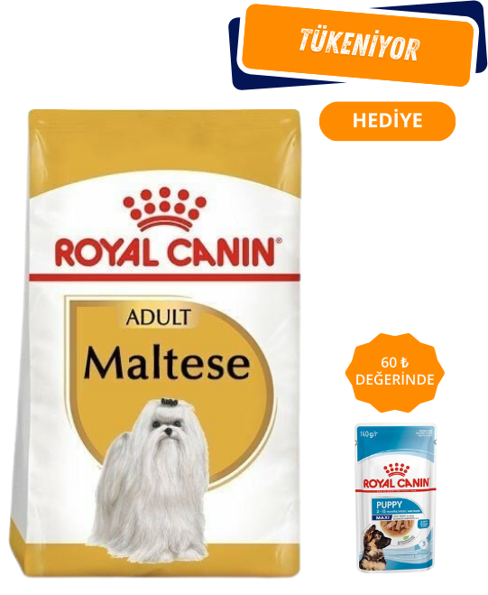 Royal Canin Maltese Terrier Yetişkin Köpek Maması 1,5 Kg