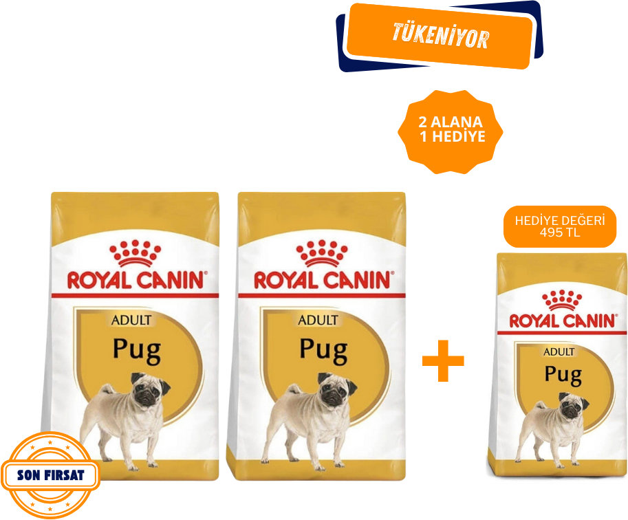 Royal Canin Pug Yetişkin Köpek Maması 1.5 Kg