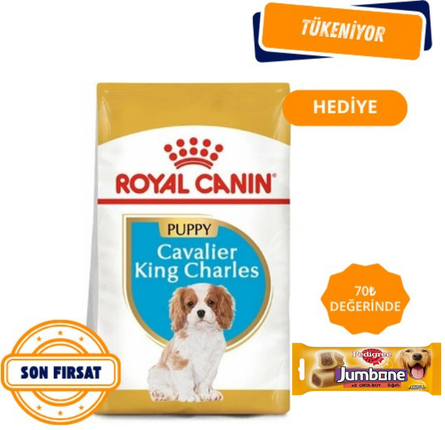 Royal Canin Cavalier King Charles Yavru Köpek Maması 1,5 Kg