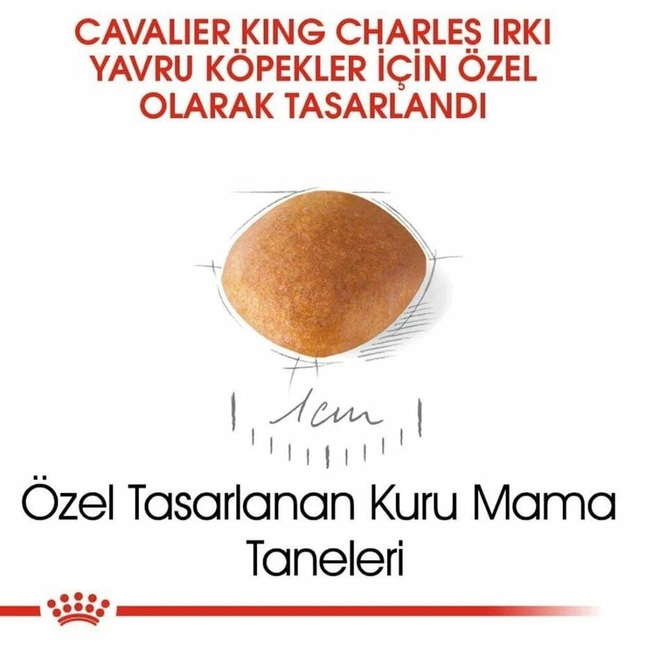 Royal Canin Cavalier King Charles Yavru Köpek Maması 1,5 Kg