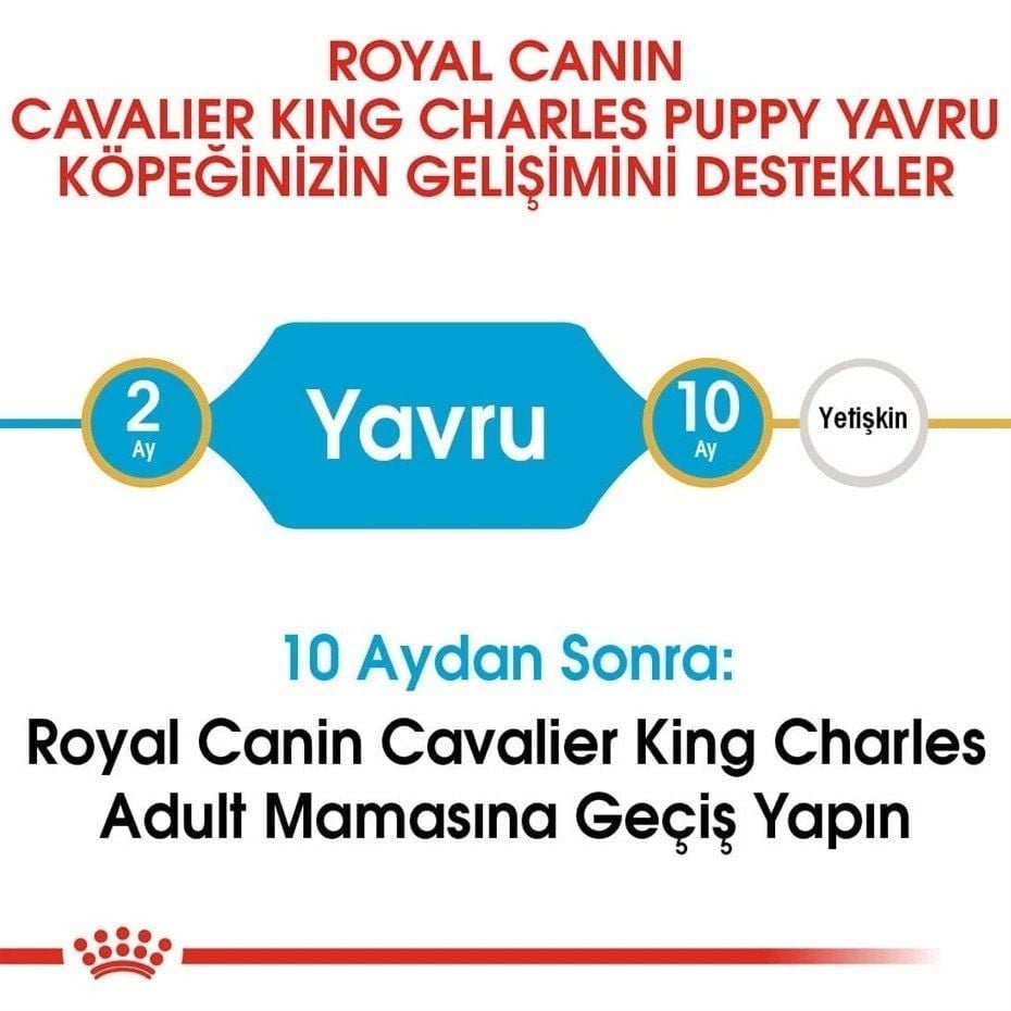 Royal Canin Cavalier King Charles Yavru Köpek Maması 1,5 Kg