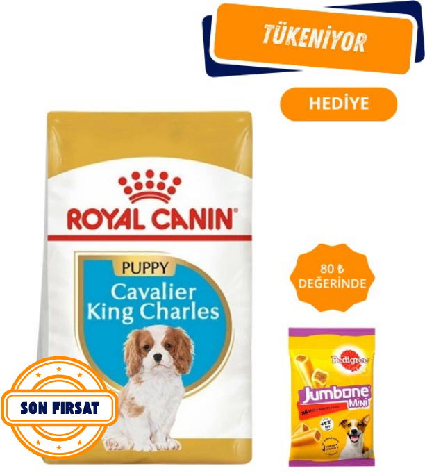 Royal Canin Cavalier King Charles Yavru Köpek Maması 1,5 Kg