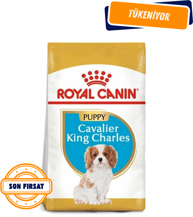 Royal Canin Cavalier King Charles Yavru Köpek Maması 1,5 Kg