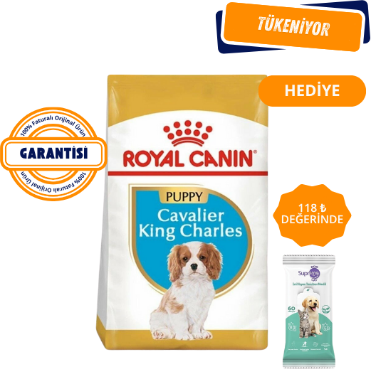 Royal Canin Cavalier King Charles Yavru Köpek Maması 1,5 Kg