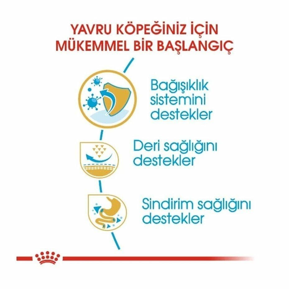 Royal Canin Pug Yavru Köpek Maması 1.5 Kg