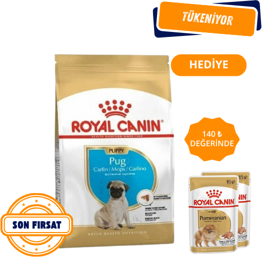 Royal Canin Pug Yavru Köpek Maması 1.5 Kg