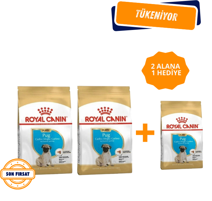 Royal Canin Pug Yavru Köpek Maması 1.5 Kg
